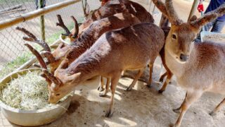 150316179_436114614375436_3283